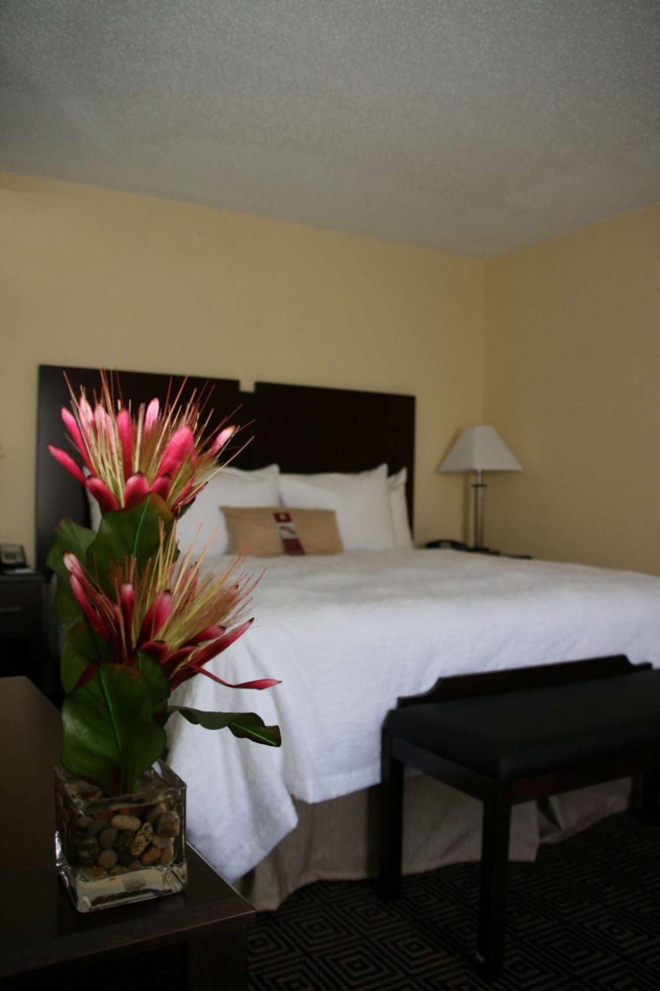 Hampton Inn & Suites Orlando-John Young Parkway/South Park Williamsburg Exteriör bild